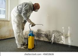 Mold Removal for HVAC Installations in Kerman, CA